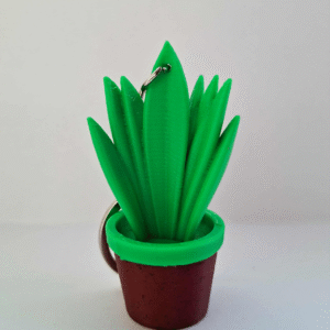 breloczek sansewieria