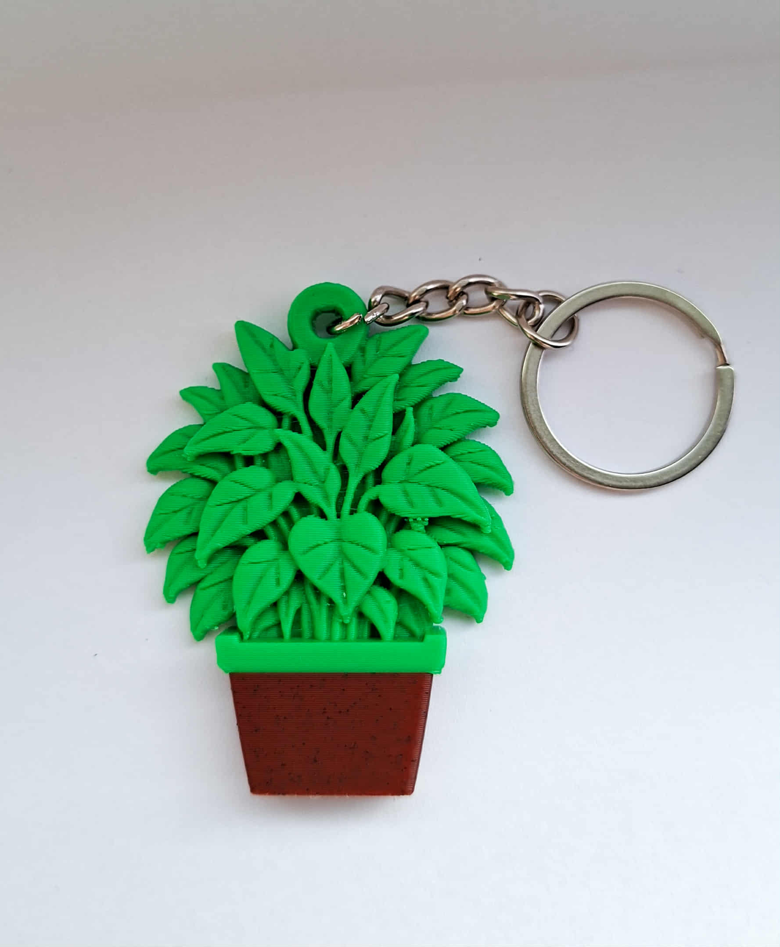 breloczek skrzydłokwiat