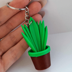 breloczek sansewieria