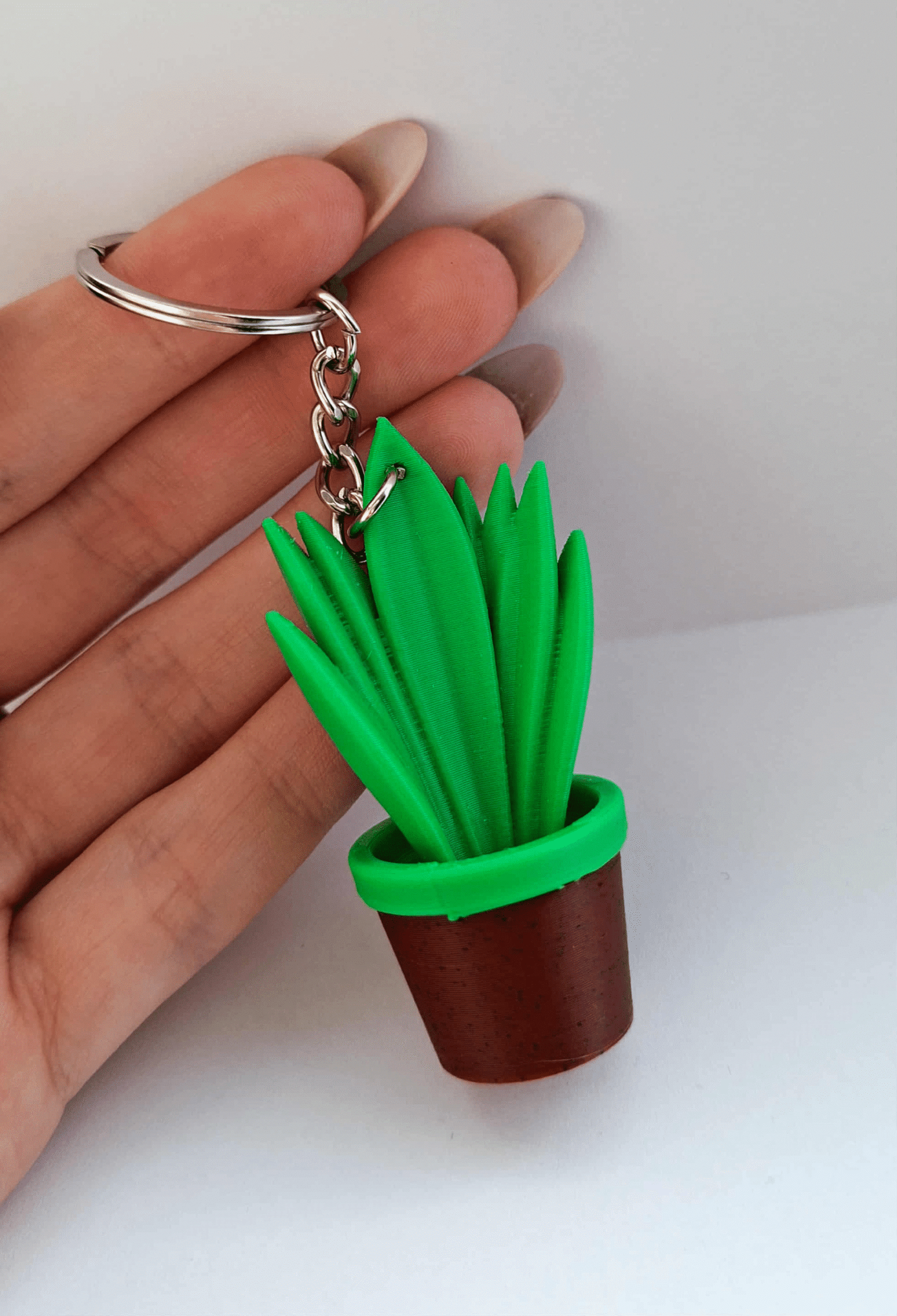 breloczek sansewieria