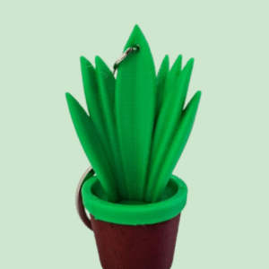 sansewieria brelok sansewieria brelok