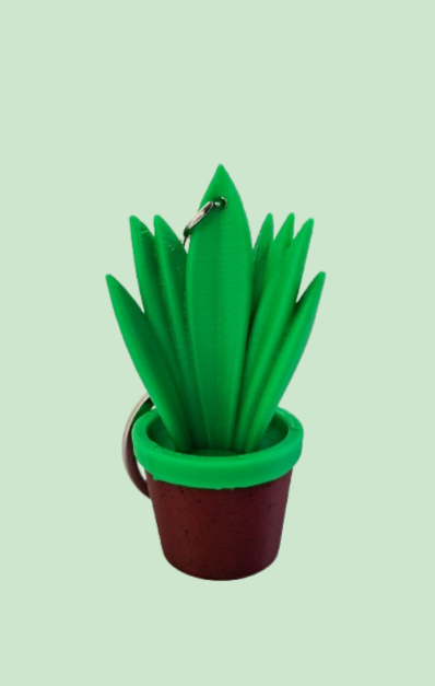 sansewieria brelok sansewieria brelok