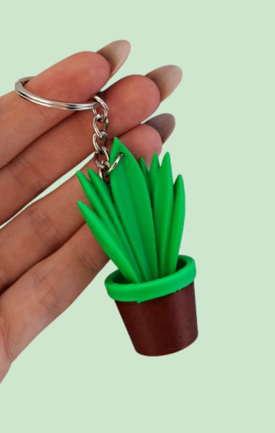 sansewieria brelok sansewieria brelok