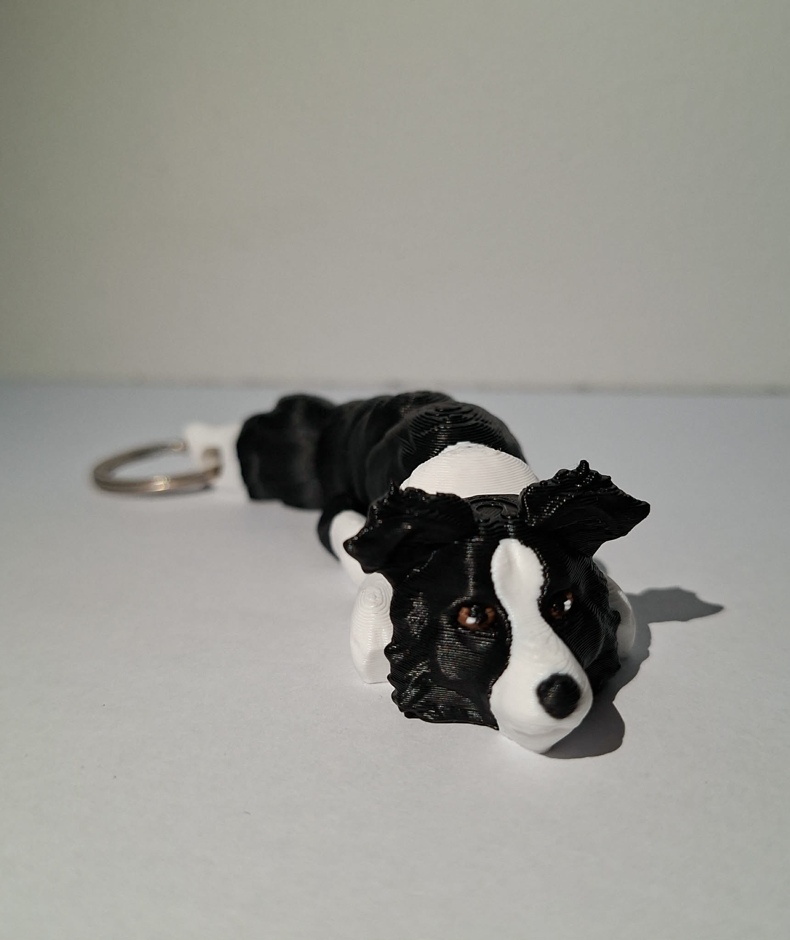 border collie brelok