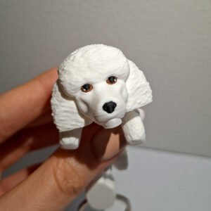 12c477b3 10c3 4d47 a34d b409381b011b