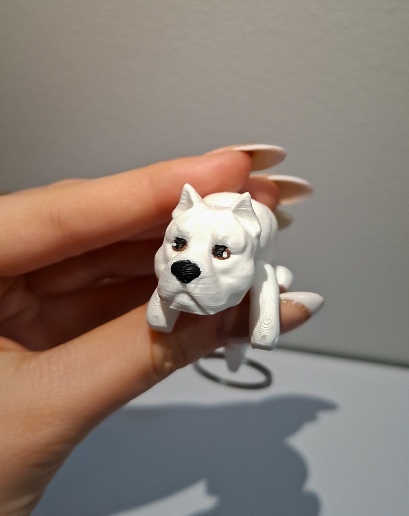 dog argentyński brelok