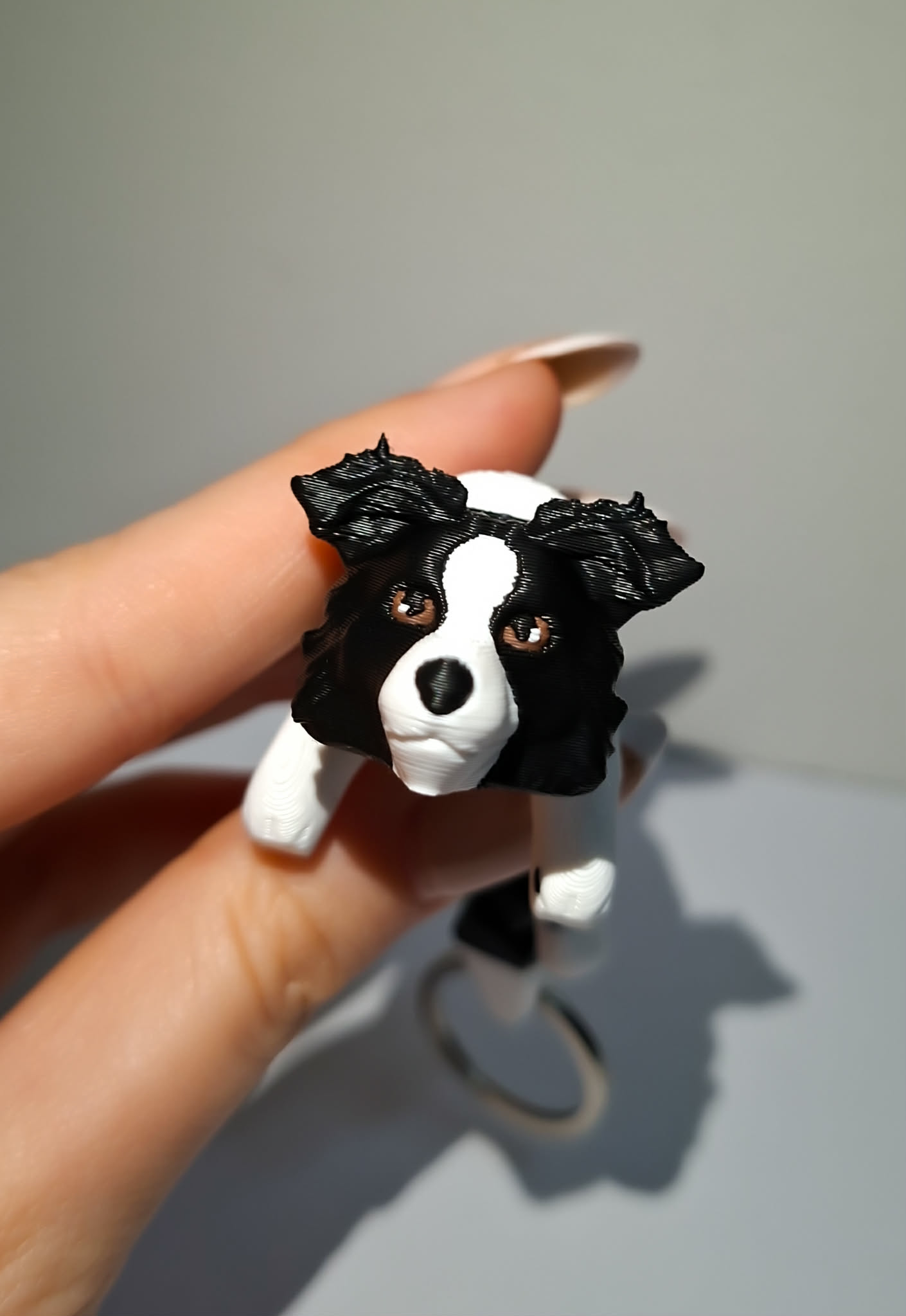 border collie brelok
