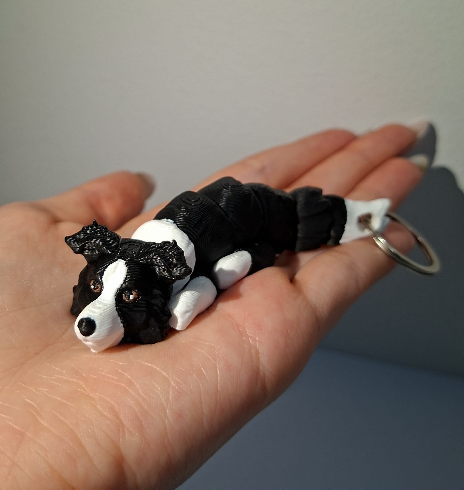 border collie brelok