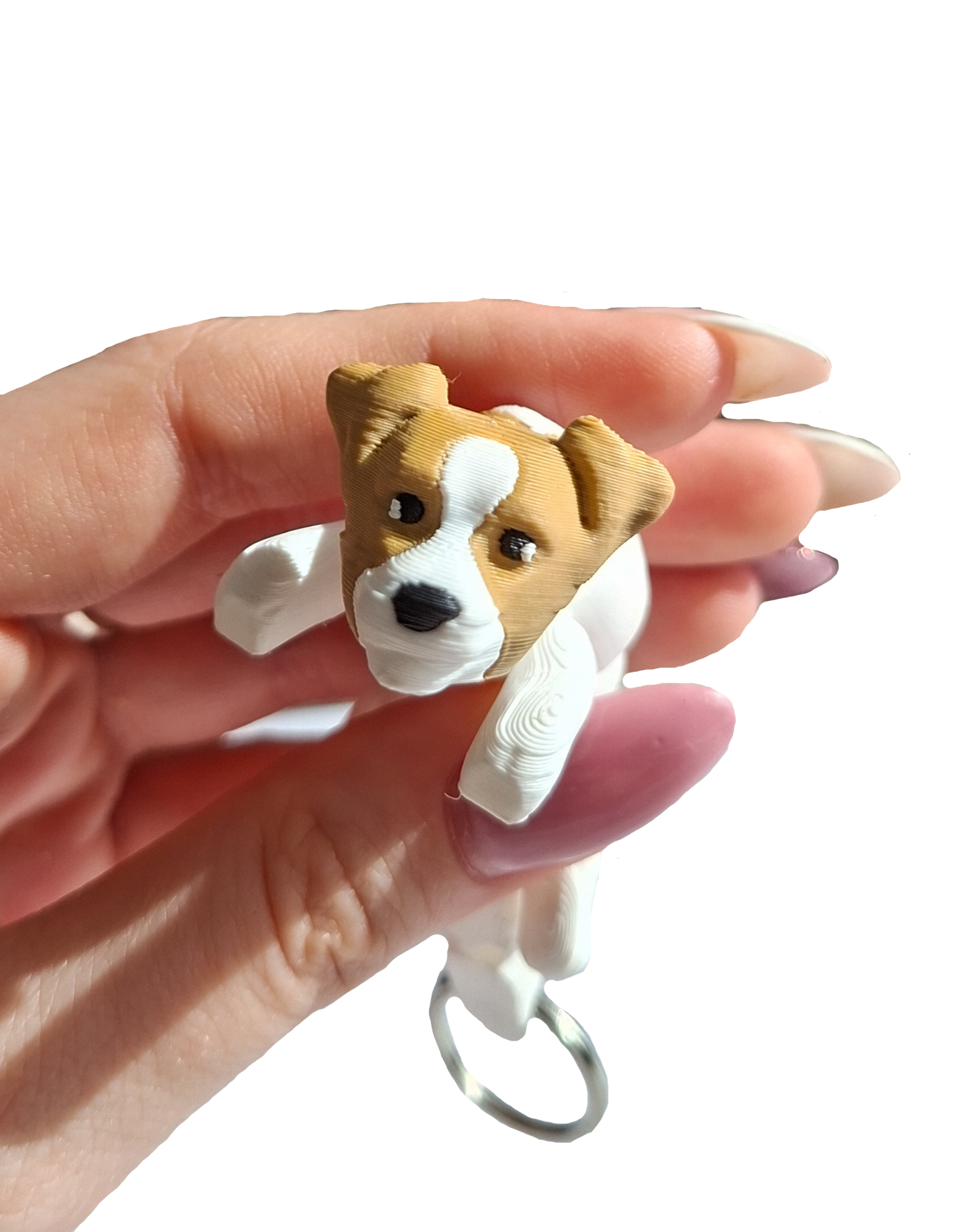 jack russell terrier brelok