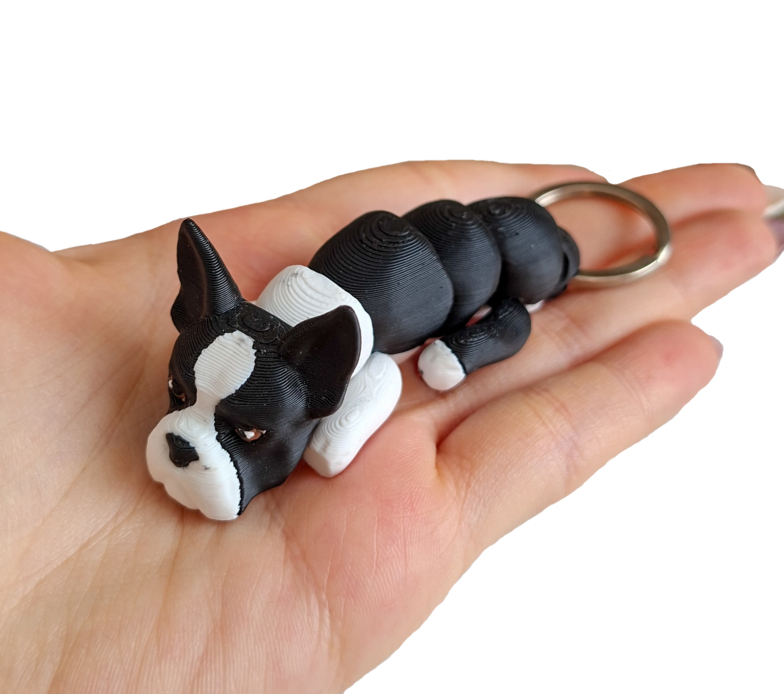 brelok boston terrier 3d