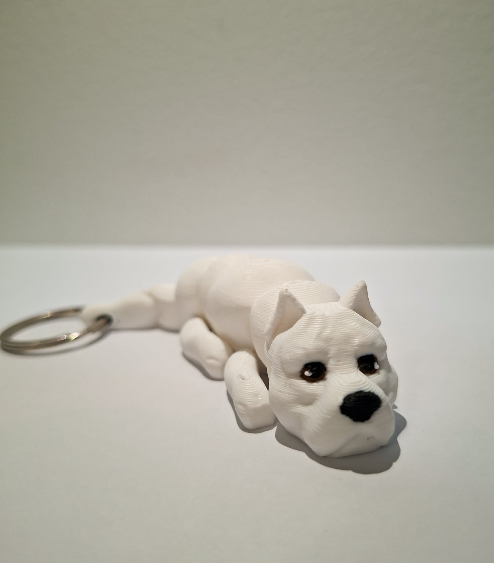 dog argentyński brelok