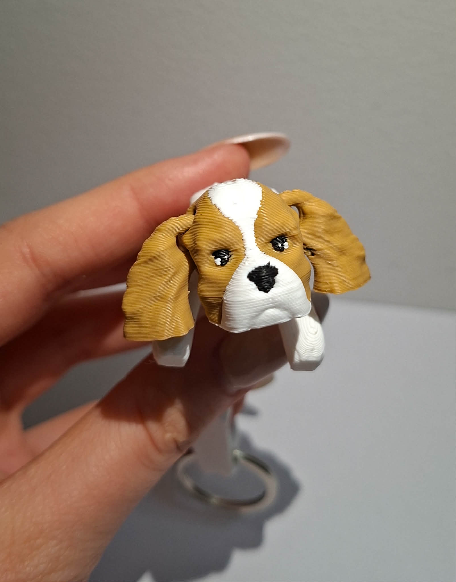 cavalier king charles spaniel brelok