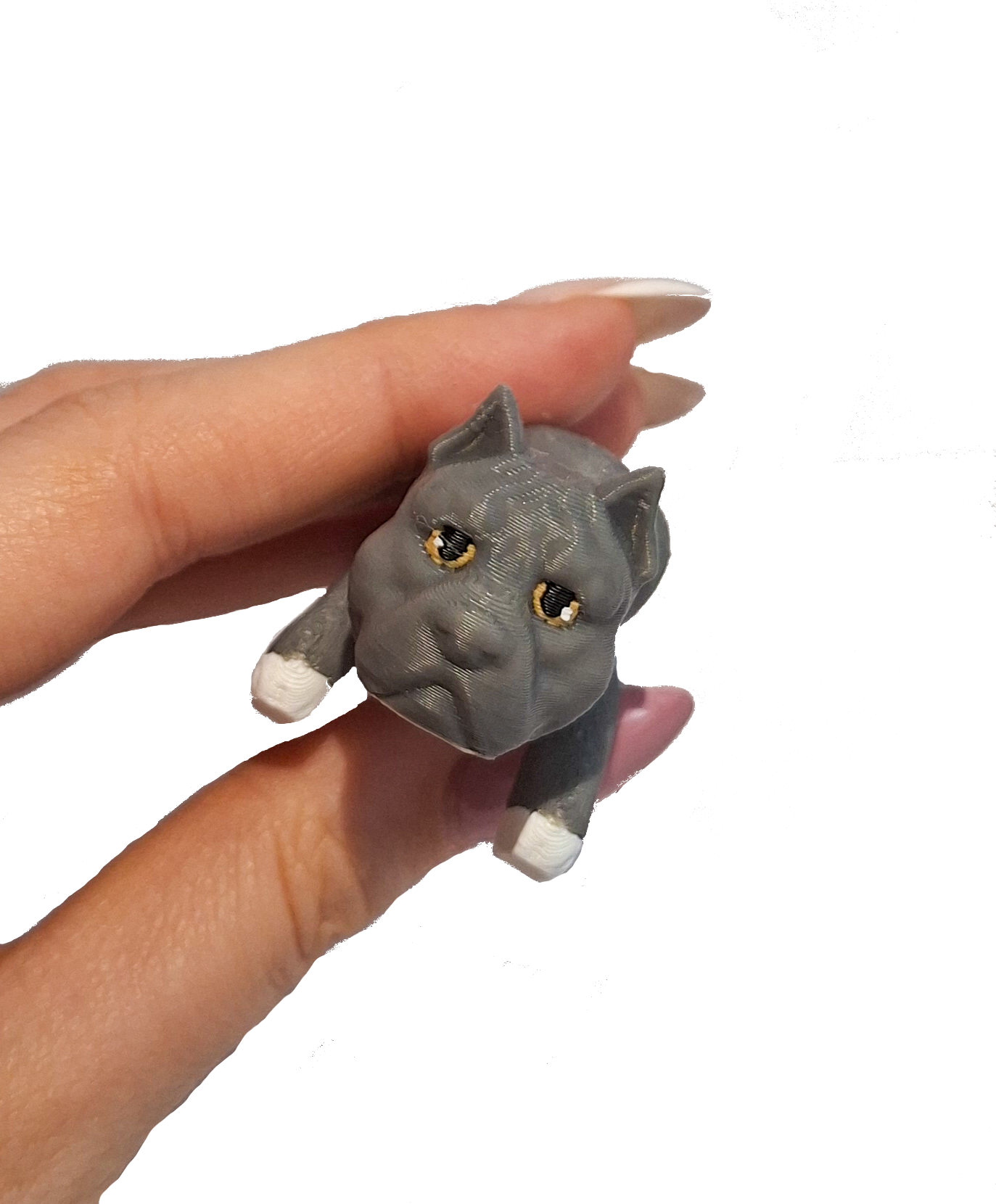 brelok american bully 3d