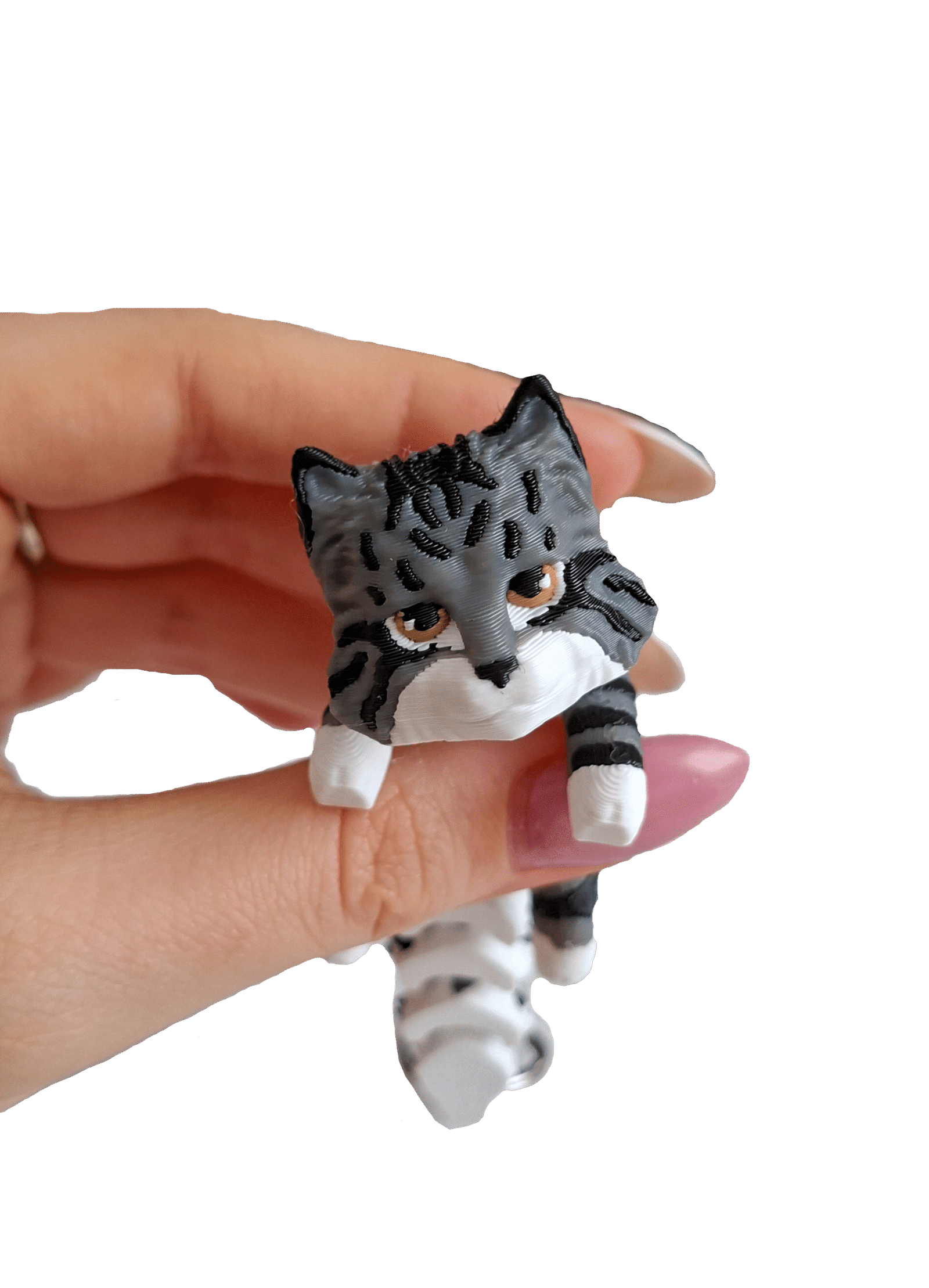 brelok maine coon 3d brelok maine coon 3d